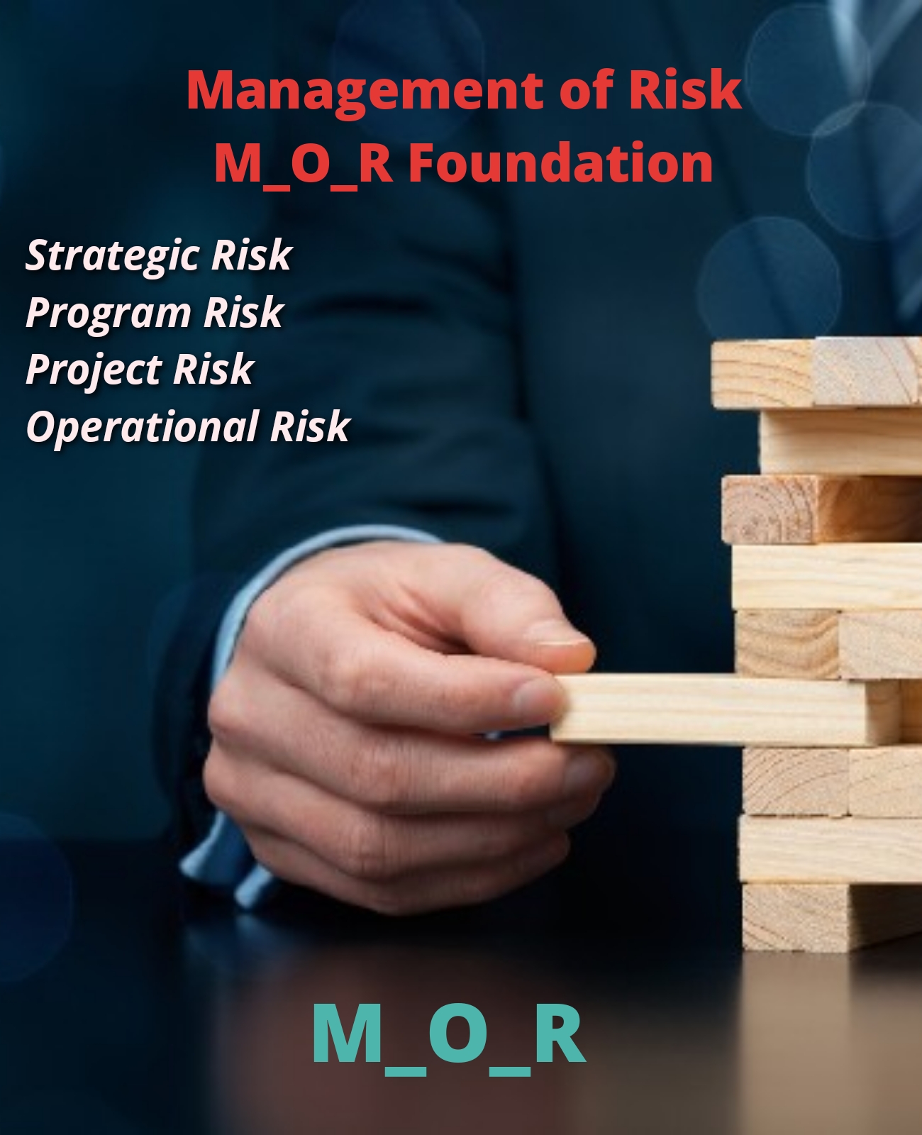 Management of Risk M_O_R
